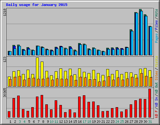 Daily usage for January 2015