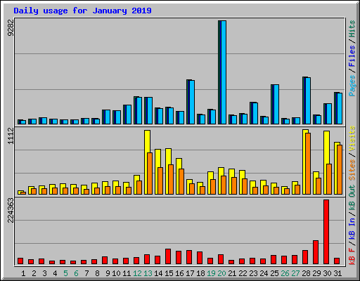 Daily usage for January 2019