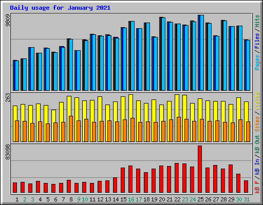 Daily usage for January 2021