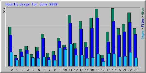 Hourly usage for June 2009