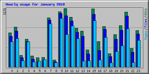 Hourly usage for January 2010