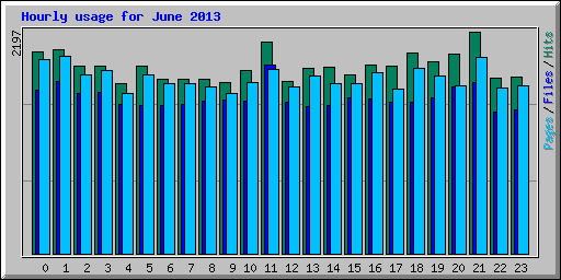 Hourly usage for June 2013