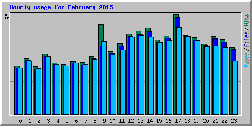 Hourly usage for February 2015