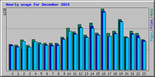 Hourly usage for December 2015