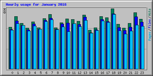 Hourly usage for January 2016