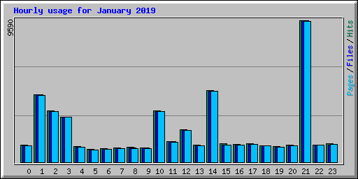 Hourly usage for January 2019