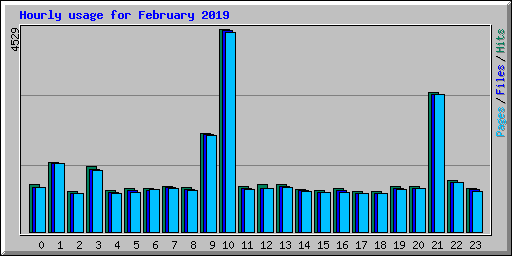 Hourly usage for February 2019