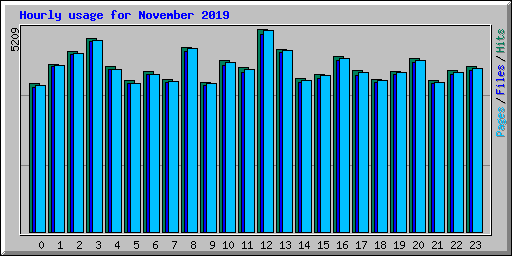 Hourly usage for November 2019