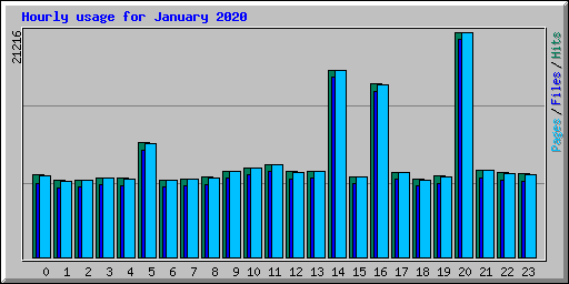 Hourly usage for January 2020