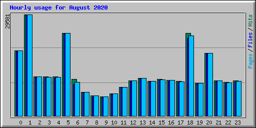 Hourly usage for August 2020