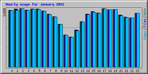 Hourly usage for January 2021