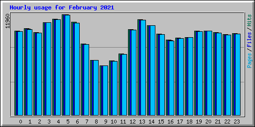 Hourly usage for February 2021