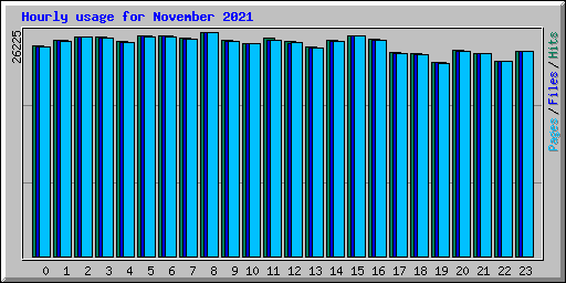 Hourly usage for November 2021