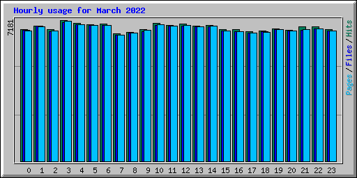 Hourly usage for March 2022