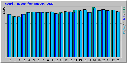 Hourly usage for August 2022